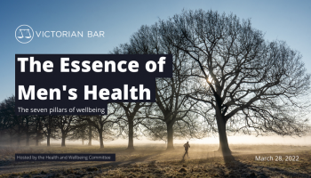 Webinar – The Essence of Men's Health - the seven pillars of wellbeing